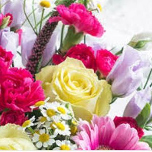 Meet your Posher, Isabel